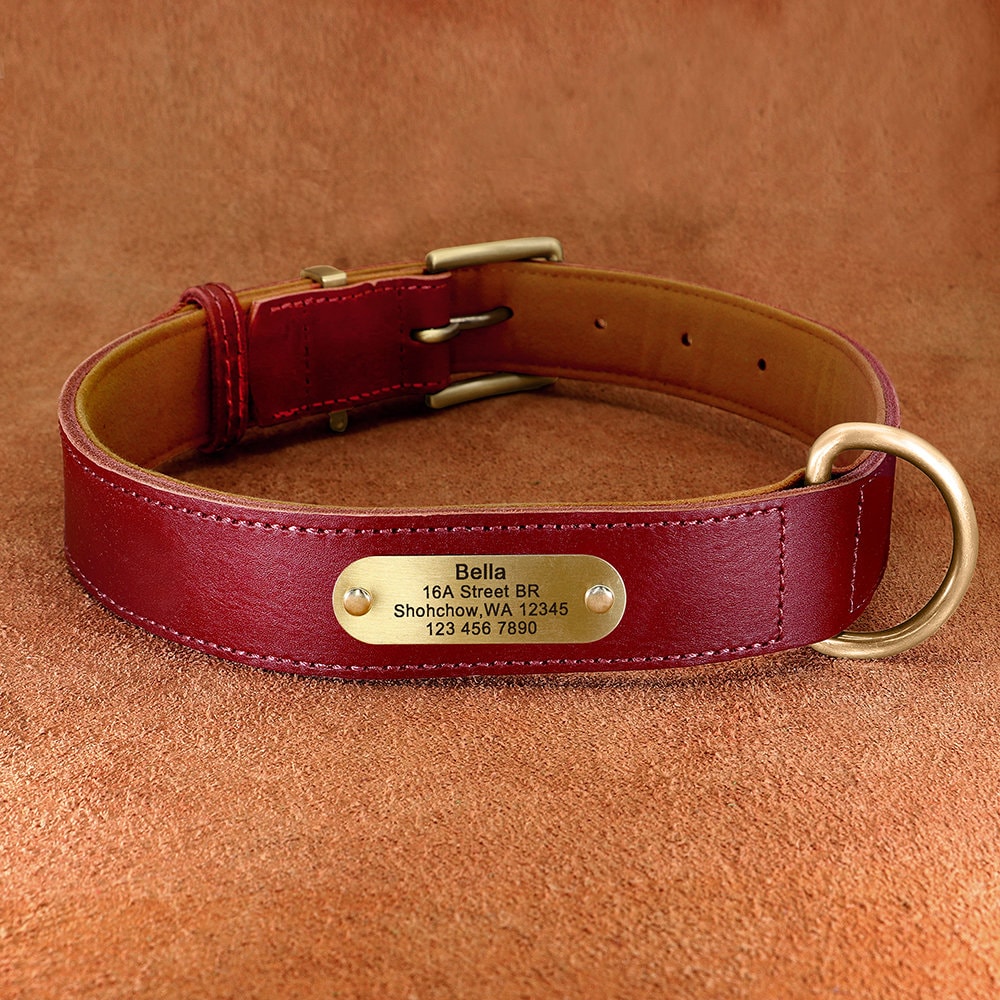 Upgraded Genuine Leather Personalised Dog Collar with Name Plate and Matching Leash