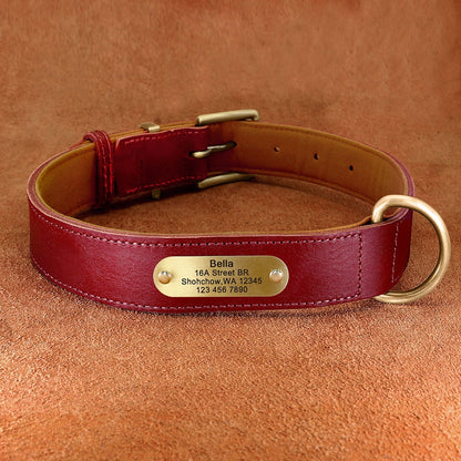 Upgraded Genuine Leather Personalised Dog Collar with Name Plate and Matching Leash