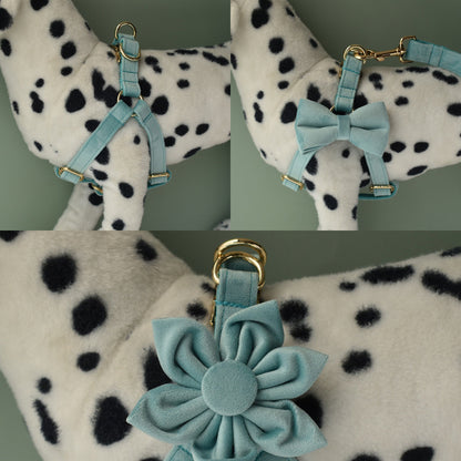 Aqua Thick Velvet Dog Collar and Lead Set and Harness Combo