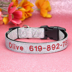 Glittery Nylon Lightweight Cat and Dog Collar with Plastic Buckle