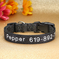 Glittery Nylon Lightweight Cat and Dog Collar with Plastic Buckle