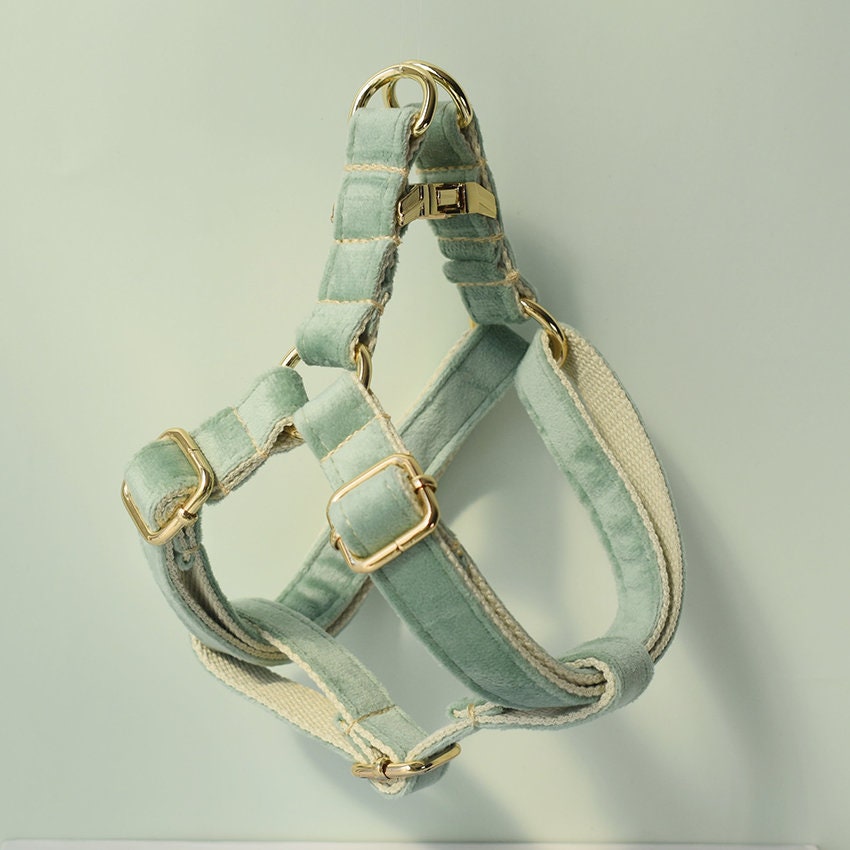 Personalised MINT GREEN Thick Velvet Girl or Boy Dog Collar, Harness, and Leash Set with Detachable Matching Bowtie Flower