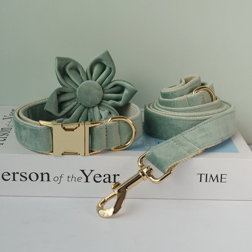 Personalised MINT GREEN Thick Velvet Girl or Boy Dog Collar, Harness, and Leash Set with Detachable Matching Bowtie Flower