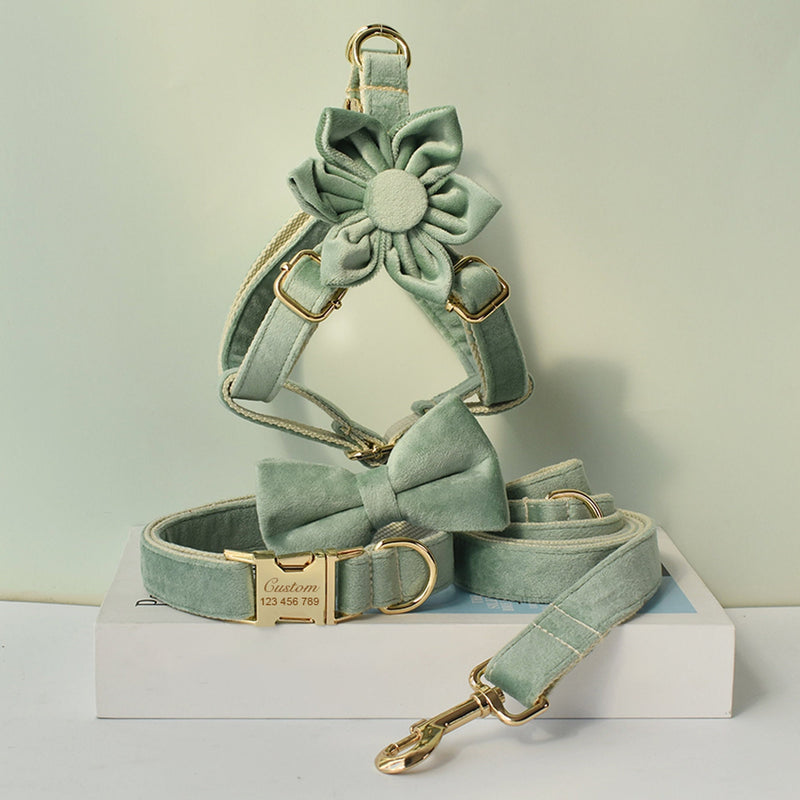 Personalized Engraved Handmade MINT GREEN Thick Velvet Girl or Boy Dog Collar, Harness, and Leash Set with Detachable Matching Bowtie Flower