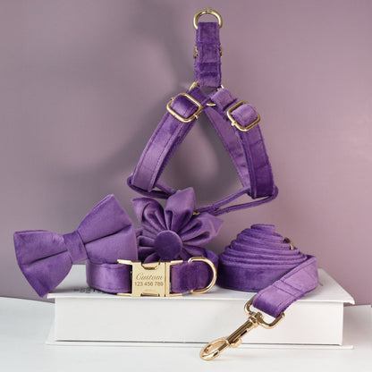 Purple Personalised Dog Collar Combo Set, Matching Bowtie, Leash and Harness