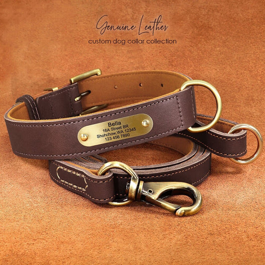 Upgraded Genuine Leather Personalised Dog Collar with Name Plate and Matching Leash
