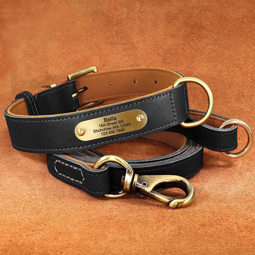 Upgraded Genuine Leather Personalised Dog Collar with Name Plate and Matching Leash