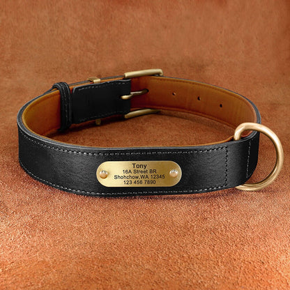 Upgraded Genuine Leather Personalised Dog Collar with Name Plate and Matching Leash