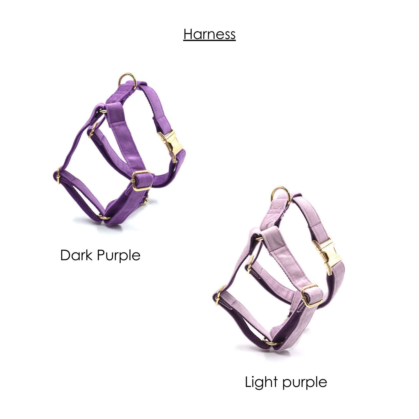 Personalised thick velvet dog collar mix and match combo