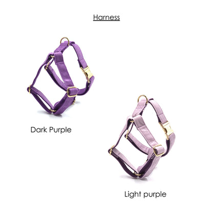 Personalised thick velvet dog collar mix and match combo