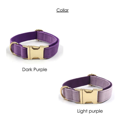 Personalised thick velvet dog collar mix and match combo