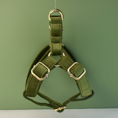 Personalized Engraved Handmade Velvet Dog Collar or Dog Lead Set, Matching Bowtie and Harness in Army Green and Solid Pattern