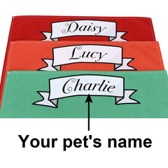 Waterproof Pet Feeder Mat in Green, Red and Orange Pet Water Bowl