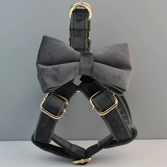 Dark Grey Dog Collar Lead Set, Harness and Removable Bowtie