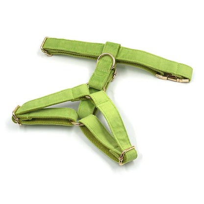 Personalised Green Matcha Dog Collar in