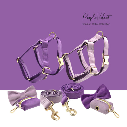 Personalised thick velvet dog collar mix and match combo