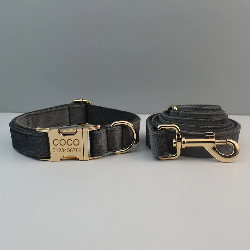 Dark Grey Dog Collar Lead Set, Harness and Removable Bowtie