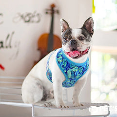 Personalized Engraved Handmade Dog Collar in Blue and Elegant Leaf Pattern, Trendy Style for All Seasons