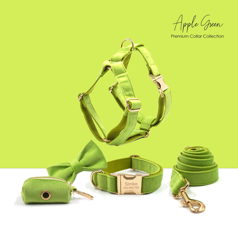 Personalized Engraved Green Matcha Dog Collar in Different Combos