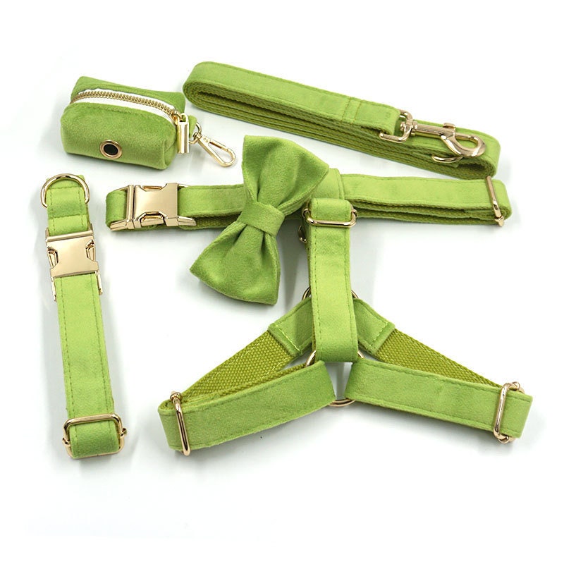 Personalised Green Matcha Dog Collar in