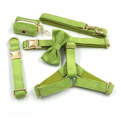Personalised Green Matcha Dog Collar in