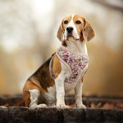 Personalized Engraved Handmade Dog Collar in Beige and Gorgeous Floral Pattern, Trendy Style for All Seasons