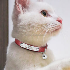 Personalized Engraved Handmade Genuine Leather Cat and Puppy Collar in Black, Green, Red, Yellow, Pink, Brown and Solid Pattern with Bell