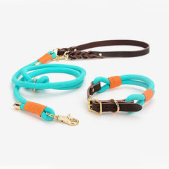 Vivid Collar and P Rope Leash in Blue-Green, Blue, Grey, Red, Green, Aqua Blue, Yellow and Solid Pattern with Leather, Great For All Seasons