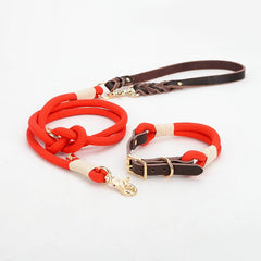 Vivid Collar and P Rope Leash in Blue-Green, Blue, Grey, Red, Green, Aqua Blue, Yellow and Solid Pattern with Leather, Great For All Seasons
