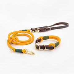 Vivid Collar and P Rope Leash in Blue-Green, Blue, Grey, Red, Green, Aqua Blue, Yellow and Solid Pattern with Leather, Great For All Seasons